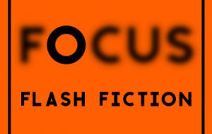 FlashFictionWVFocus